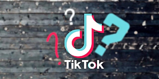 Vekiller sordu, TikTok'un cevapları şaşırttı!