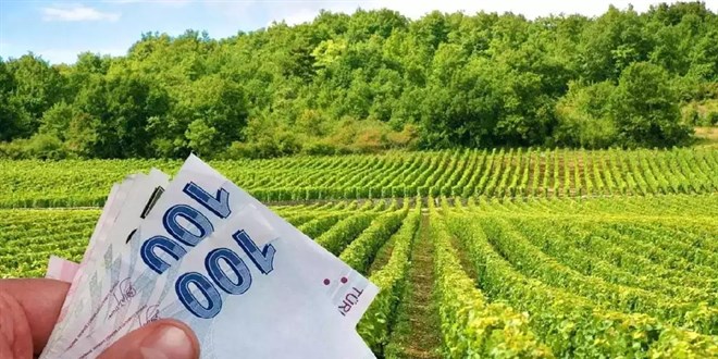 Destekler meyvesini verdi! Tarım sektörü 2023'ü de rekorla kapattı