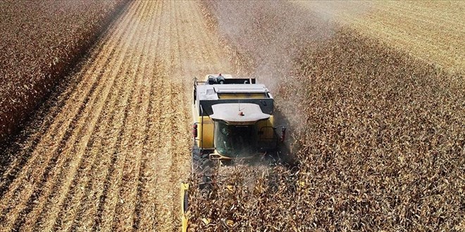 Tarım ÜFE Aralık 2023'te aylık yüzde 6,34, yıllık yüzde 52,66 arttı