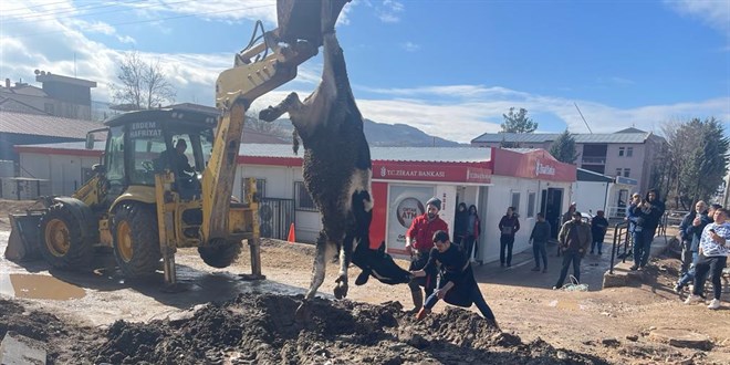 Banka müdürünün tayini çıktı diye tosun kestiler