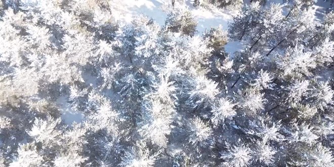 Erzurum, Ardahan ile Kars'ta soğuk hava etkili oldu