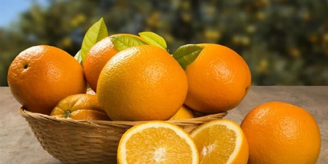 Üretici ve market arasındaki en fazla fiyat farkı portakalda görüldü