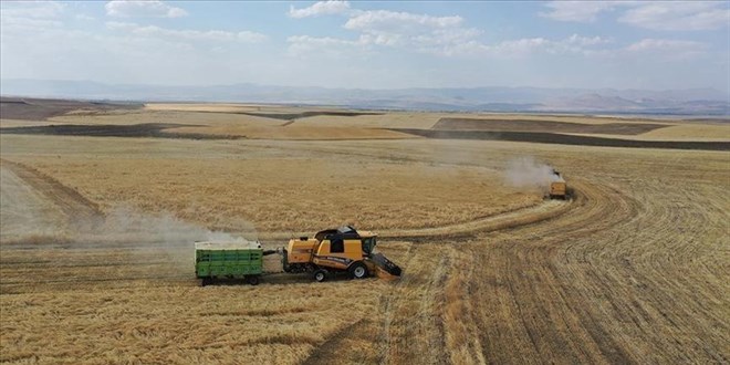 Çiftçilere tarımsal destek ödemesi bugün yapılacak
