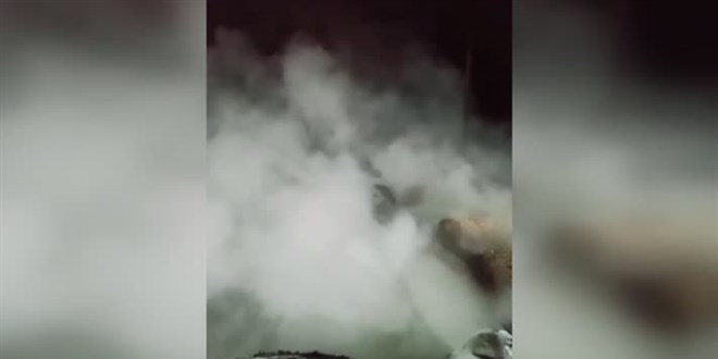 Adana'da tahıl kurutma fabrikasında çıkan yangın söndürüldü
