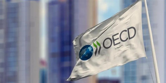 OECD'den Türkiye tahmini