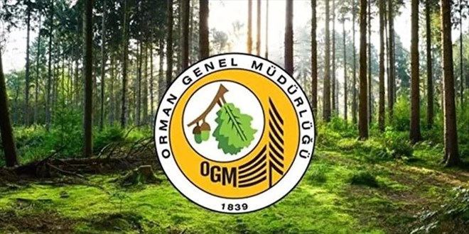 OGM'den 'küle dönen ormanlık alanda otel yapıldı' iddialarına cevap