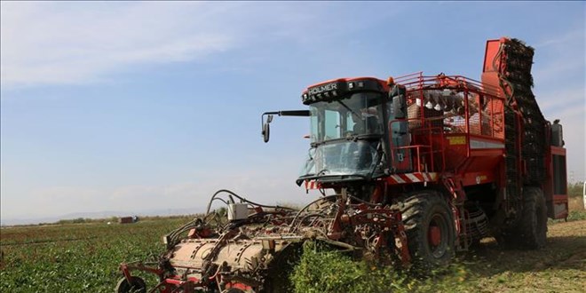 Konya Şeker, pancar çiftçisi ödemelerini yarın gerçekleştirecek