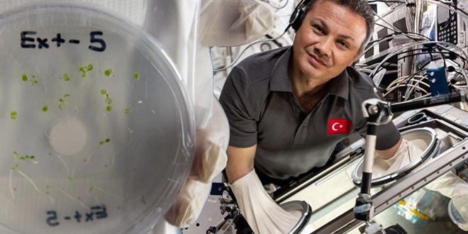 Gezeravcı'nın deneyleri Kanserlere tedavi imkanı sağlayacak