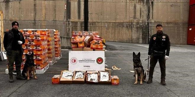 Ambarlı Limanı'nda uyuşturucu operasyonu: 36 milyon liralık uyuşturucu ele geçirildi