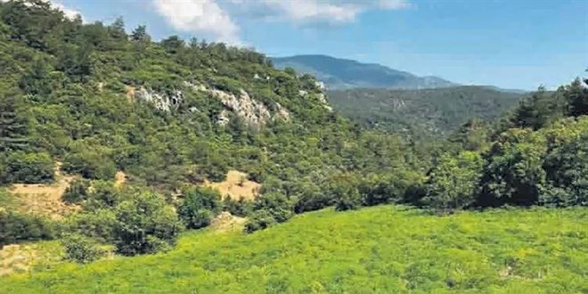 Orman alanına mermer ocağı projesine bakanlık 'DUR' dedi