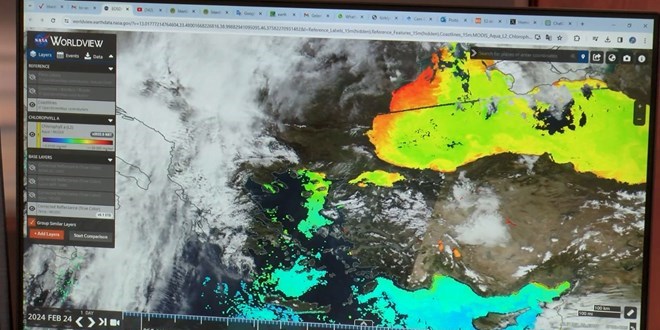Marmara Denizi'ndeki tehlike: Canlı yaşamı sona erebilir