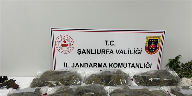Uyuşturucu satıcılarına şafak operasyonunda 36 şüpheli yakalandı