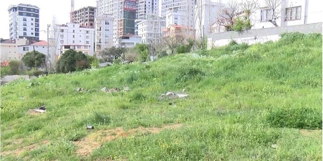 İstanbul'da 7 yaşındaki ikizlere köpek saldırısı: Çocuklardan birine 30 dikiş atıldı