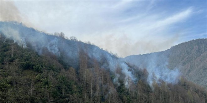 Rize'de örtü yangını