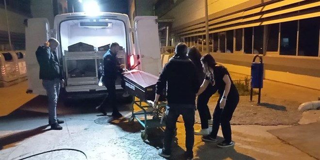 Tatil için çıktıkları yolda kaza yaptılar: 1 ölü, 1 yaralı