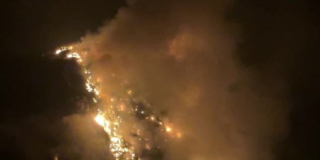 Artvin'de çöp sahasında yangın çıktı
