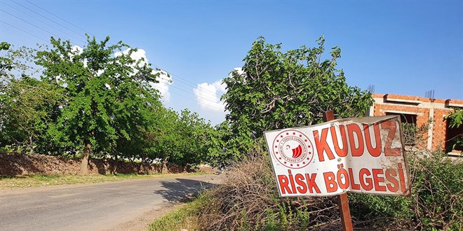 Hatay'da 2 mahalle kuduz nedeniyle karantinaya alnd