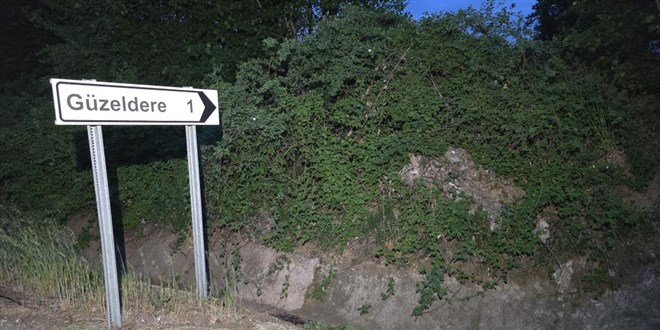 Tokat'ta kene istilası: Her yerde kene var
