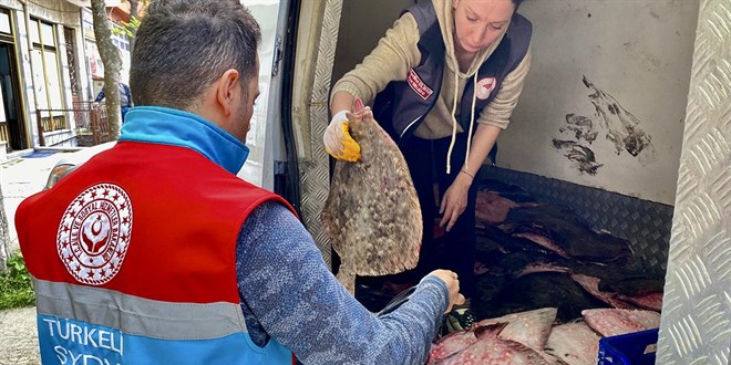 Kaçak yolla avlanan 340 kalkan balığı ele geçirildi