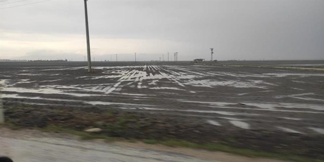 Konya'da saanak: Tarm arazileri sular altnda kald