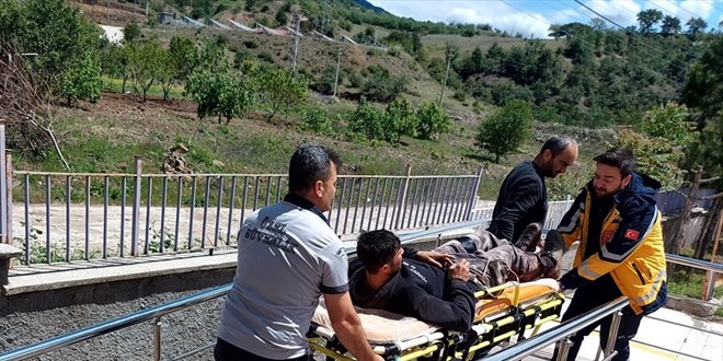 Çorum'da domuz saldırısına uğrayan kişi yaralandı
