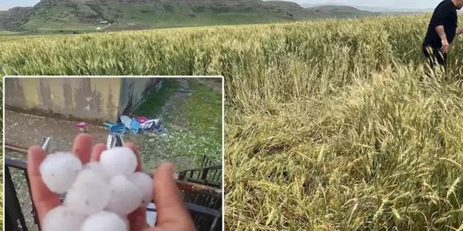 İki ilde dolu etkili oldu, ekili araziler zarar gördü