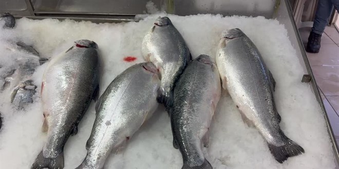 Av yasağı döneminde 'çiftlik balığı tüketilmesi' tavsiyesi