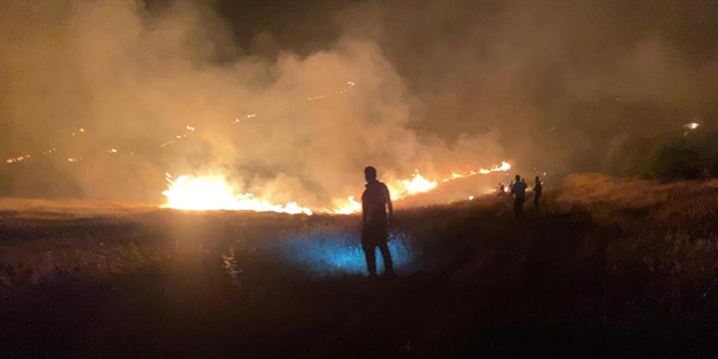 Şanlıurfa'da orman yangını