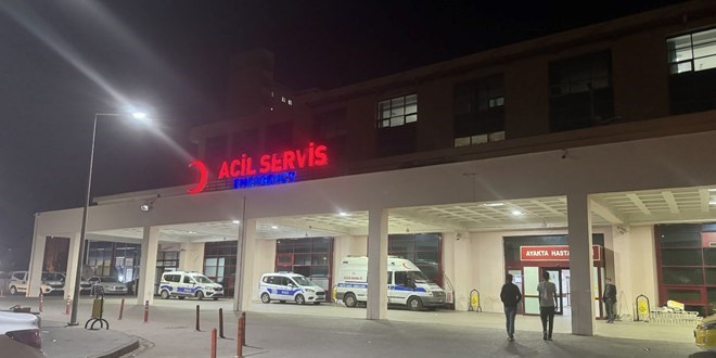 Köpeklerin saldırısından kaçan genç başını kaldırıma çarptı