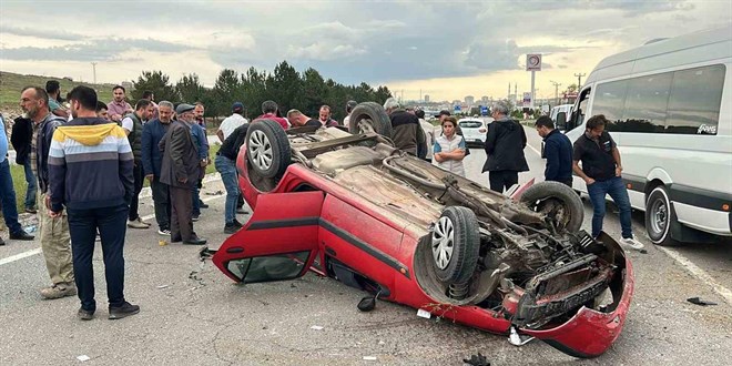 Başıboş sokak köpekleri 3 bin 476 trafik kazasına neden oldu