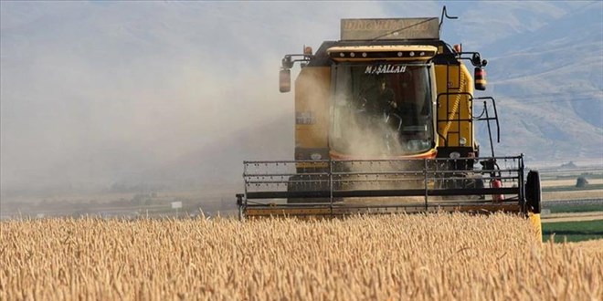 Tarımsal destek ödemeleri bugün çiftçilerin hesabına yatırılacak