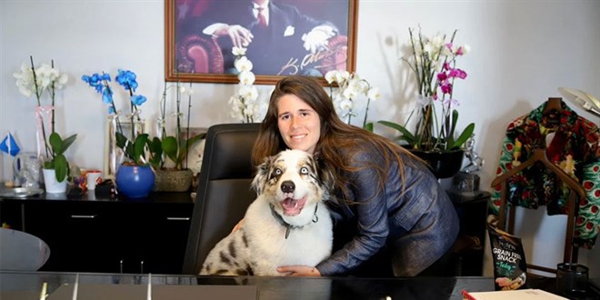 Belediye Başkanı, makam koltuğuna köpek oturttu