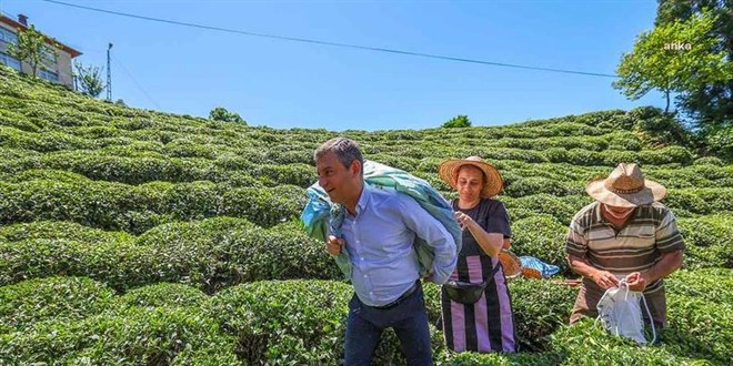 Rize'de 'çay mitingi'