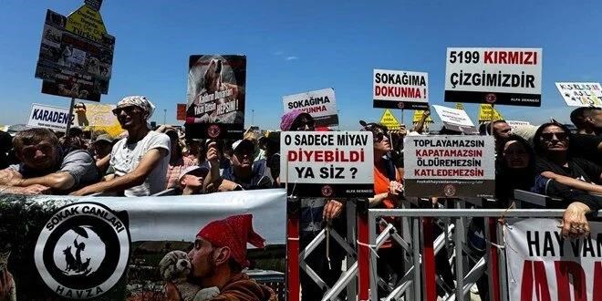Hayvanseverlerden sokak köpeği düzenlemesine tepki
