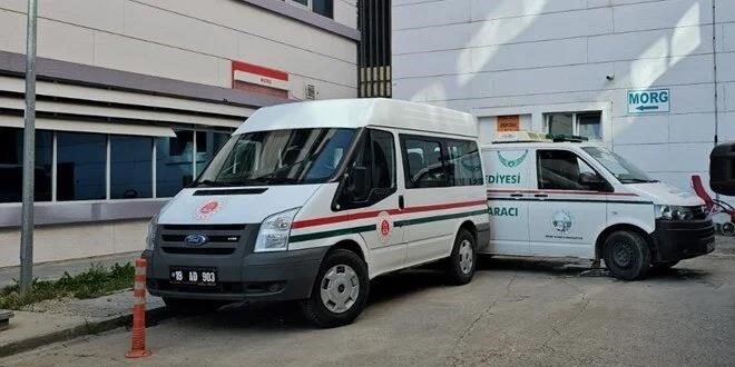 Çorum'da arıların soktuğu kadın yaşamını yitirdi