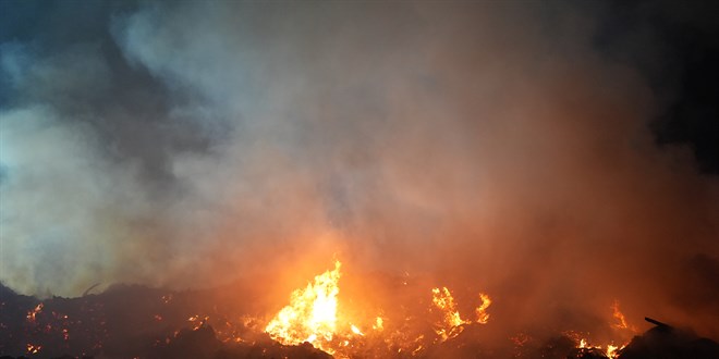 Sarıyer'de belediyeye ait depolama alanında yangın çıktı