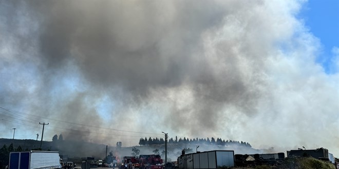 Tuzla'da fabrikada yangın: Yandaki fabrika ve ormana sıçradı