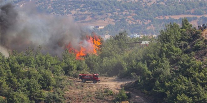 İzmir'in iki ilçesindeki orman yangınları kontrol altında