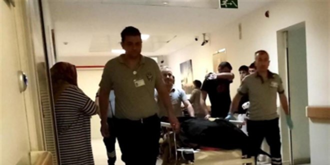 Ihlamur toplarken ağaçtan düşüp öldü