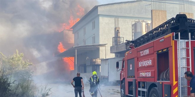 Aydın'da otluk alanda çıkan yangın fabrikaya sıçradı: Müdahale ediliyor