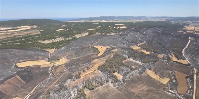Çanakkale'nin ciğerleri yandı! Tam 952 futbol sahası büyüklüğünde