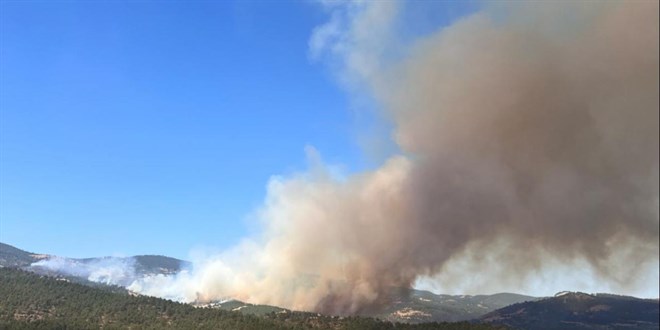 Yeni haftada sıcaklık artıyor: Batı ve güney bölgelerinde orman yangını riski