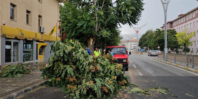Erzincan'da fırtına etkili oldu: Çatılar uçtu, ağaçların dalları kırıldı