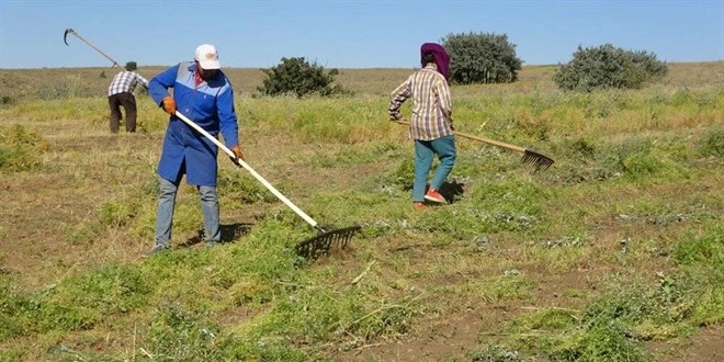 Aylık 45 bin liraya çalışacak işçi bulamıyorlar