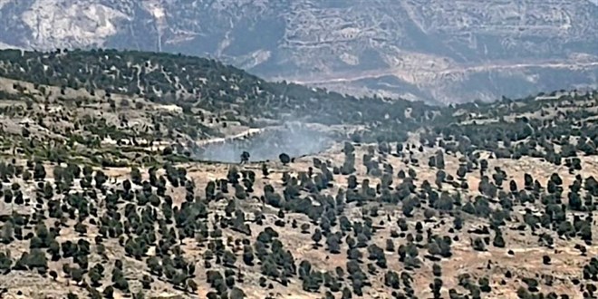 Mersin'de orman yangını