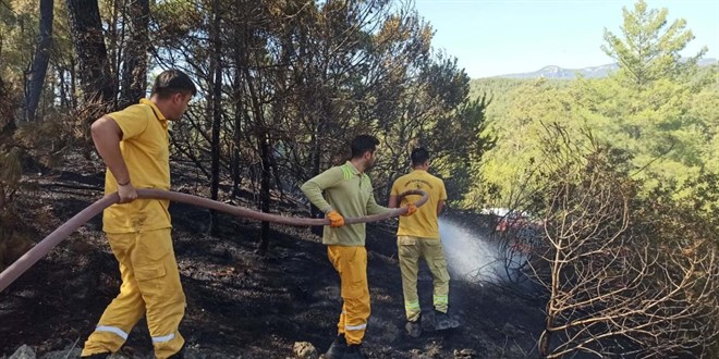Muğla'nın Milas ilçesinde çıkan orman yangını kontrol altında