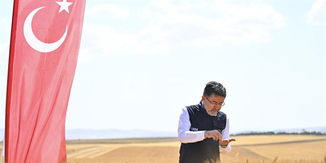 Bakan Yumaklı yerli ve milli buğday çeşitlerinin hasadına katıldı