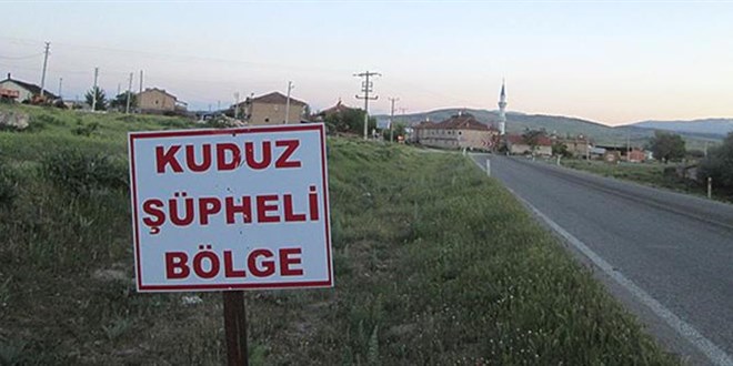 'Her yıl yaklaşık 59 bin kişi kuduz nedeniyle hayatını kaybediyor'