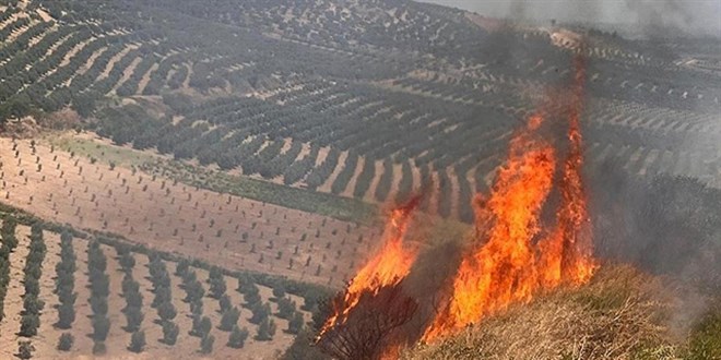 Hatay'da iki ayrı yerde çıkan yangın kontrol altına alındı