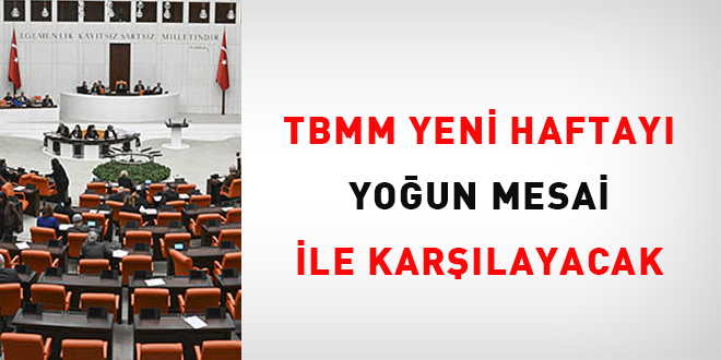 TBMM, yeni haftayı yoğun mesai ile karşılayacak